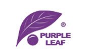 Purple Leaf logo