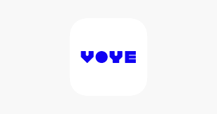 Voye Global coupon codes