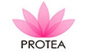 Protea logo