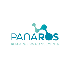 Panaros  IT logo