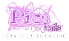 Picsnails logo