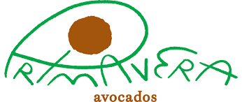 Primavera Avocados logo