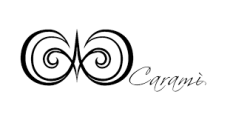 Carami IT coupon codes